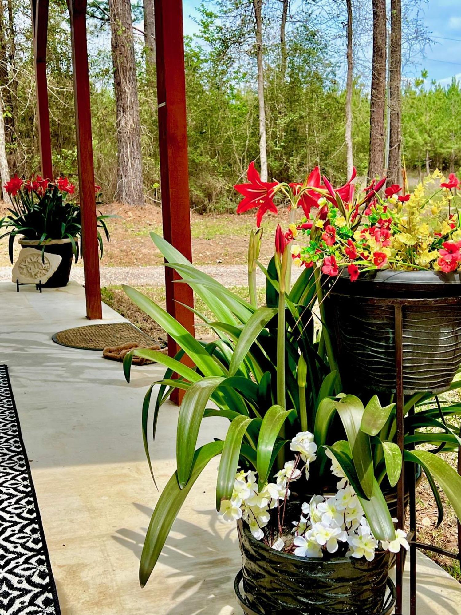 A Tranquil Retreat Loaded With Ambiance! Sleeps 10 Villa Platt Eksteriør bilde